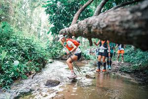 BIB: 
                            <button type="button" onclick="openModal(25372556)" class="btn btn-primary btn-sm float-right btn-popup" data-toggle="modal" data-target=".modal-high-quality">
                        <i class="fas fa-shopping-cart"></i> Add to Cart
                    </button>
                                            <button type="button" onclick="isThisMe(25372556, true)" class="btn btn-success btn-sm float-right btn-popup btn-isme hidden" data-toggle="tooltip" data-placement="bottom" title="นี่คือรูปของคุณใช่ไหม คลิกที่นี่เพื่อเอาเข้าอัลบั้ม">
                        <i class="fas fa-plus"></i> Add to album
                    </button>
                    <button type="button" onclick="isThisMe(25372556, false)" class="btn btn-warning btn-sm float-right btn-popup btn-isnotme hidden">
                        <i class="fas fa-ban"></i> Remove from album
                    </button>